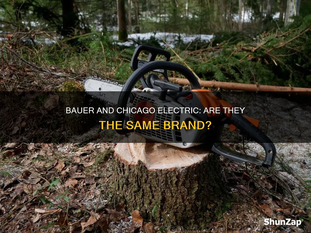 is bauer and chicago electric the same