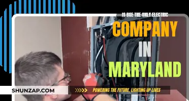 Electric Companies in Maryland: BGE and Beyond