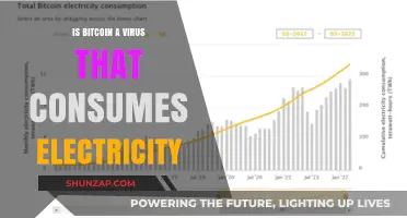 Bitcoin's Electricity Consumption: A Virus or Innovation?