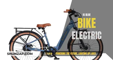 Blue Bike Electric: Is It Really Electric?