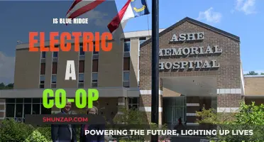 Blue Ridge Electric: A Cooperative Energy Provider