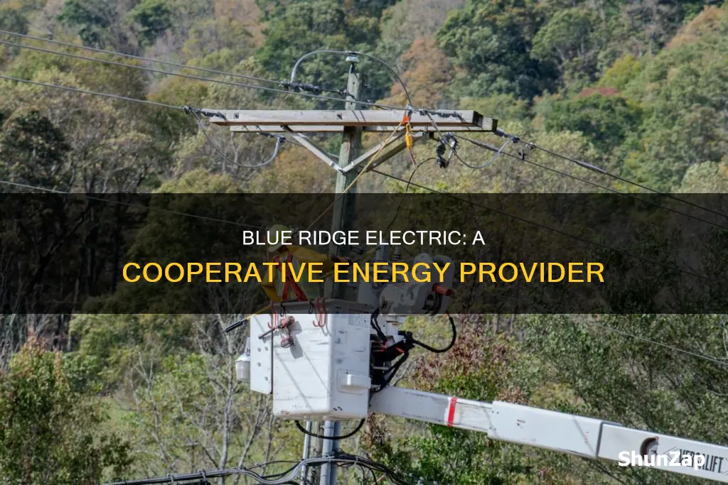 is blue ridge electric a co-op