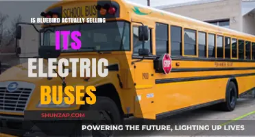 Bluebird Electric Buses: Selling or Just Hype?