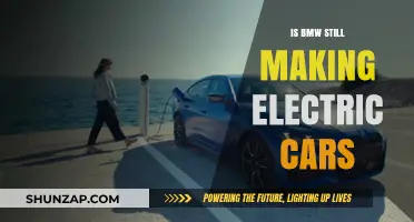 Is BMW Still Leading the Electric Car Revolution?
