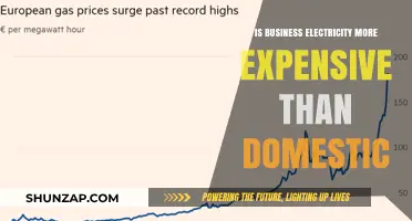Business Electricity: More Expensive Than Home Power?