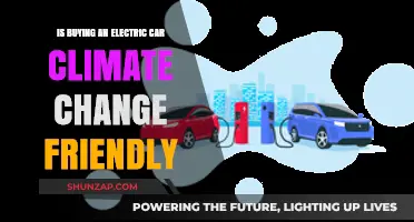 Electric Cars and Climate Change: A Green Choice or Myth?