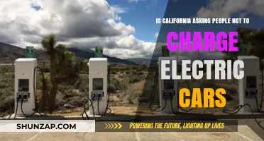 California's Plea: Should Electric Car Owners Avoid Charging During Peak Hours?