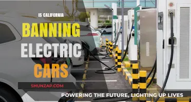 California's Electric Car Ban: Fact or Fiction? What You Need to Know
