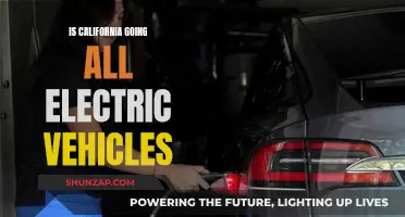 California's Electric Vehicle Revolution: What's Next?
