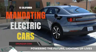 California's Electric Car Mandate: What It Means for Drivers