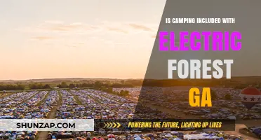 Electric Forest Camping: Electricity Included?