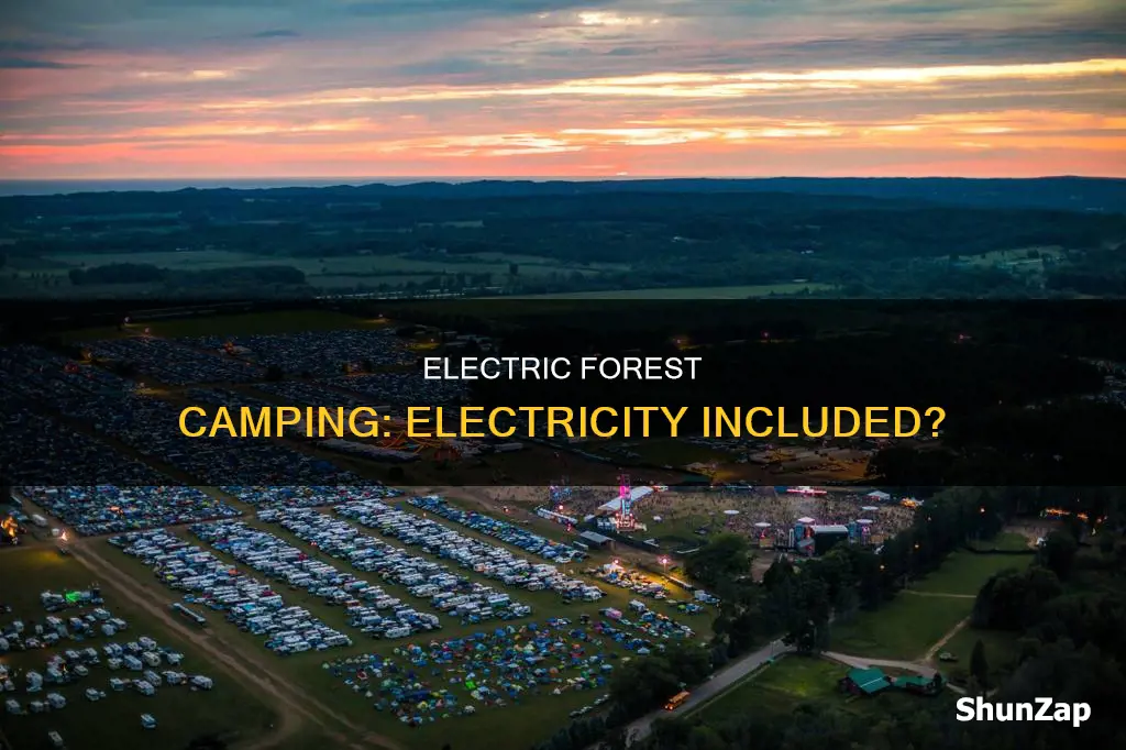 is camping included with electric forest ga