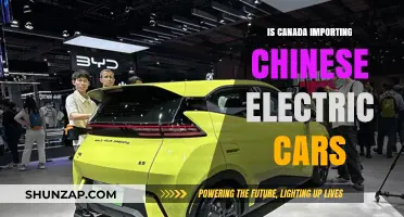 Canada's Shift: Are Chinese Electric Cars Entering the Market?