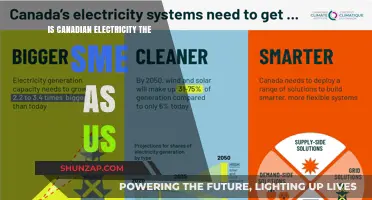 Electricity in Canada and US: What's the Difference?