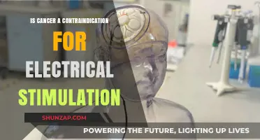 Cancer and Electrical Stimulation: Is It Safe?