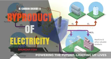 Carbon Dioxide: Electricity's Unseen Byproduct