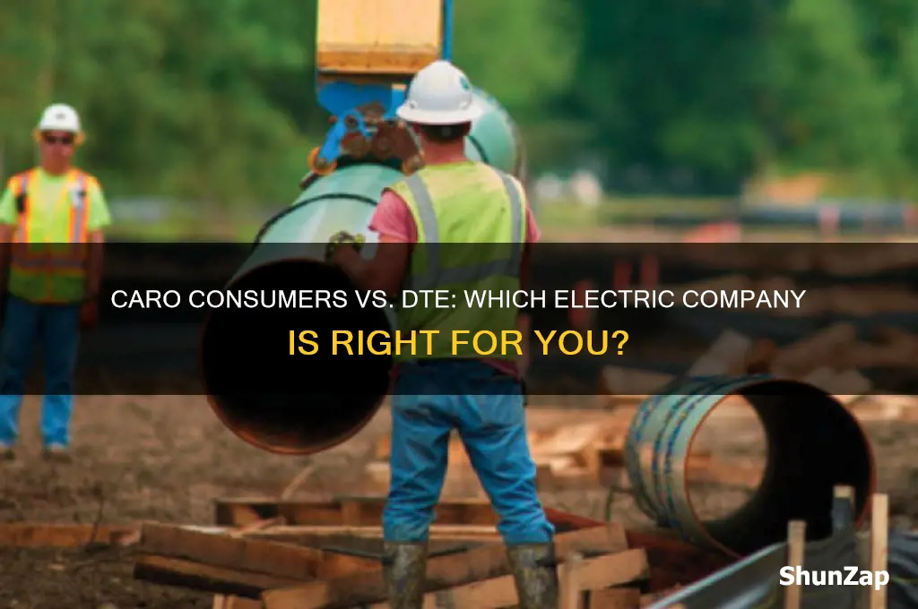 is caro consumers or dte for the electric company