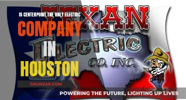 Houston's Electricity: CenterPoint's Monopoly Explained