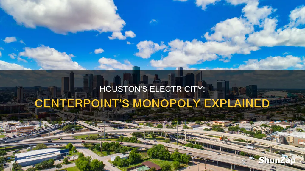 is centerpoint the only electric company in houston