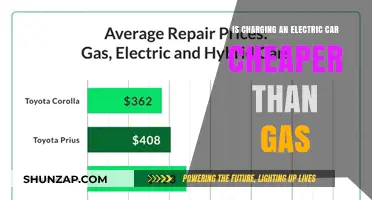 Electric vs. Gas: Which Car Fueling Option Saves You More?