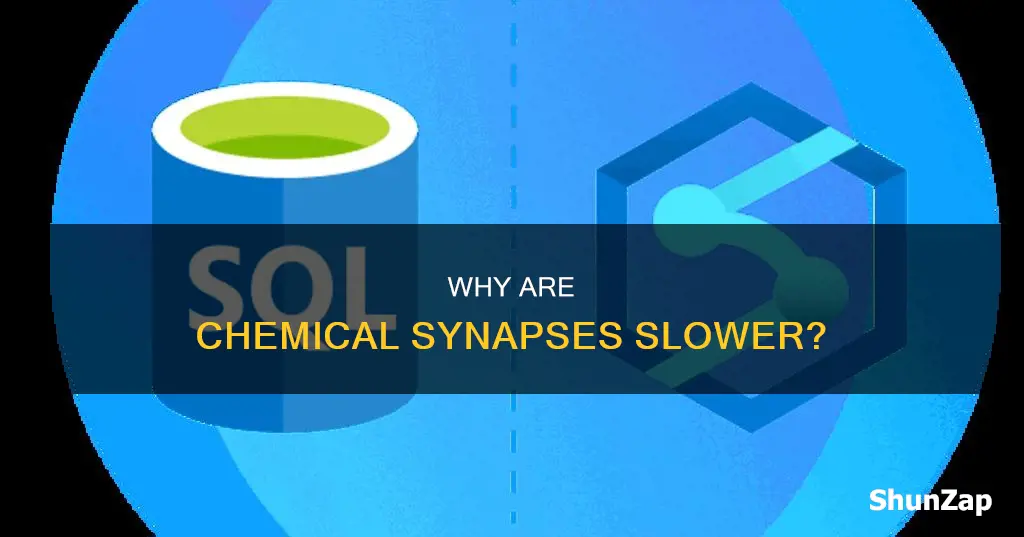 is chemical synapse slower than electrical synapse