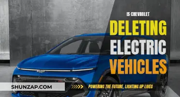 Chevrolet's Electric Vehicle Future: A Question of Survival?