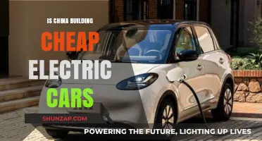 China's Electric Car Revolution: Affordable, Accessible, and Eco-Friendly?