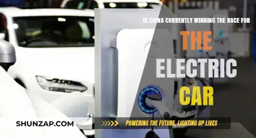 China's Electric Car Dominance: Is the Race Already Won?