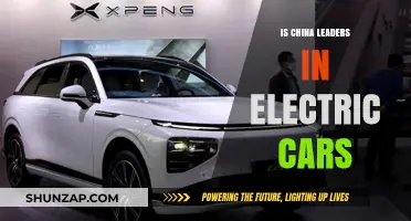 China's Electric Vehicle Dominance: Global Leadership or Market Myth?