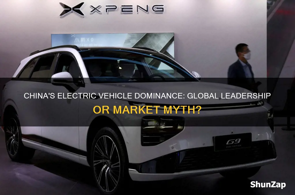 is china leaders in electric cars