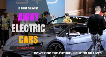 China's Electric Car Waste Crisis: Myth or Reality?