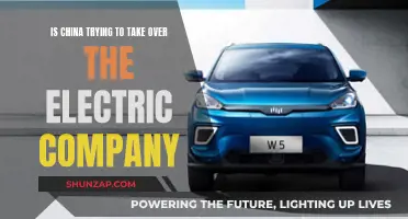 China's Electric Company Takeover: What's the Plan?