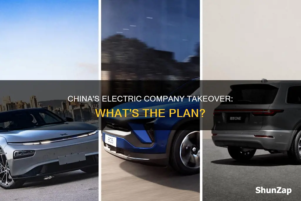 is china trying to take over the electric company
