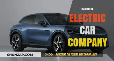 Are Chinese Electric Car Companies Revolutionizing the Global Auto Industry?