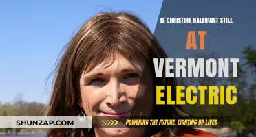 Hallquist's Departure: Vermont Electric's Loss