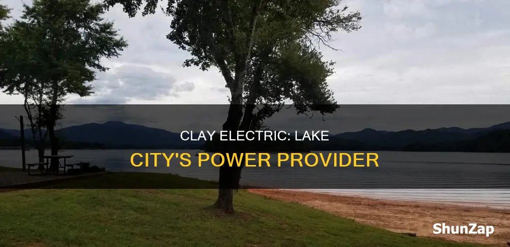 is clay electric open in lake city