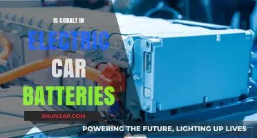 Cobalt's Role in Electric Car Batteries: Essential or Replaceable?