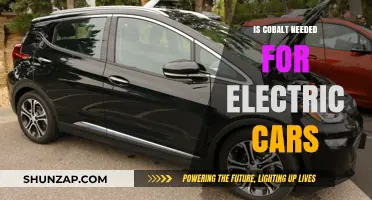 Cobalt's Role in Electric Vehicles: Essential or Replaceable?