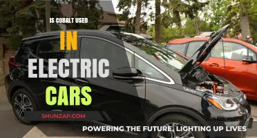 Cobalt's Role in Electric Vehicles: Essential Component or Future Alternative?