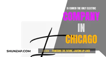 Electric Companies in Chicago: Comed and Its Competitors