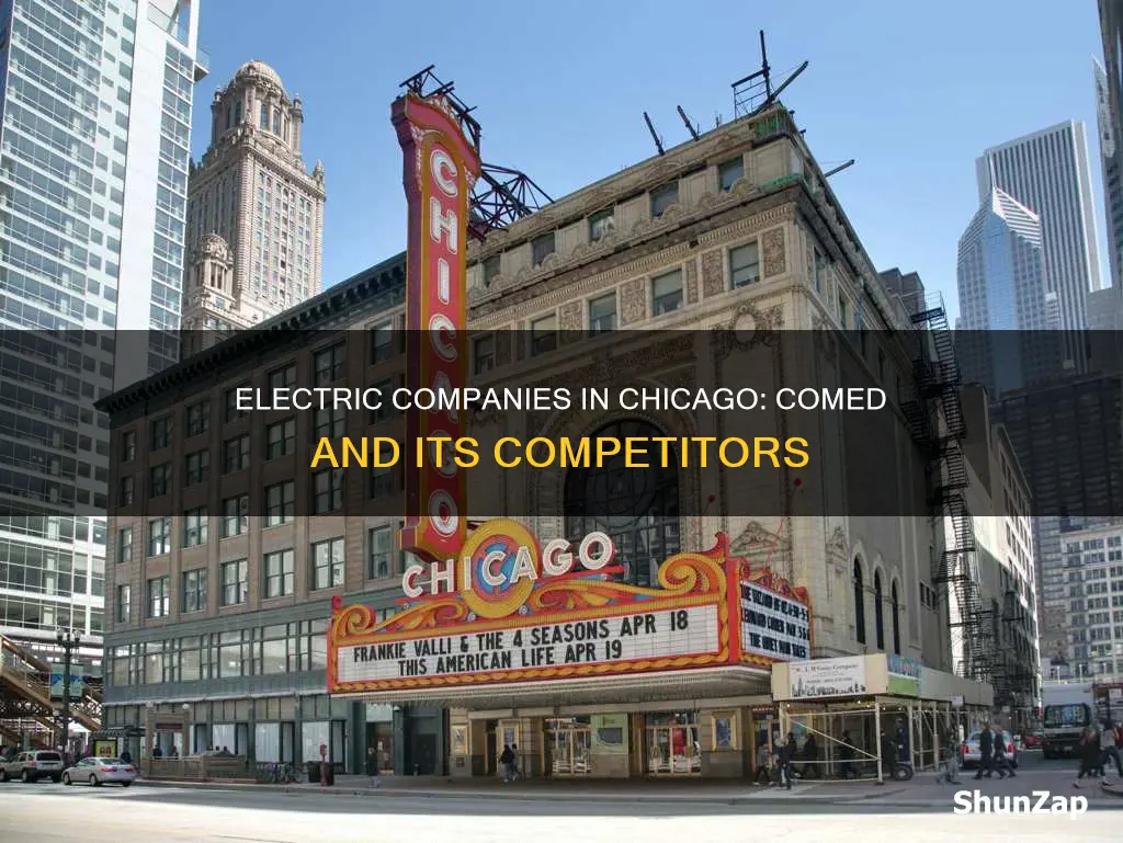is comed the only electric company in chicago