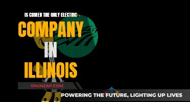 Electric Companies in Illinois: Exploring Comed's Monopoly