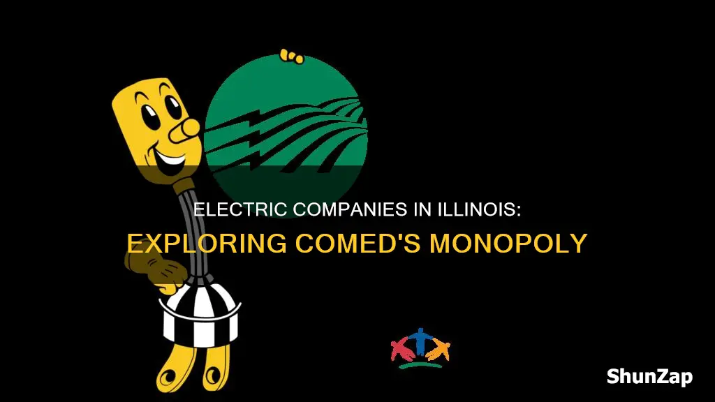 is comed the only electric company in illinois