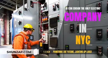 Electric Companies in NYC: Con Edison's Monopoly Explained