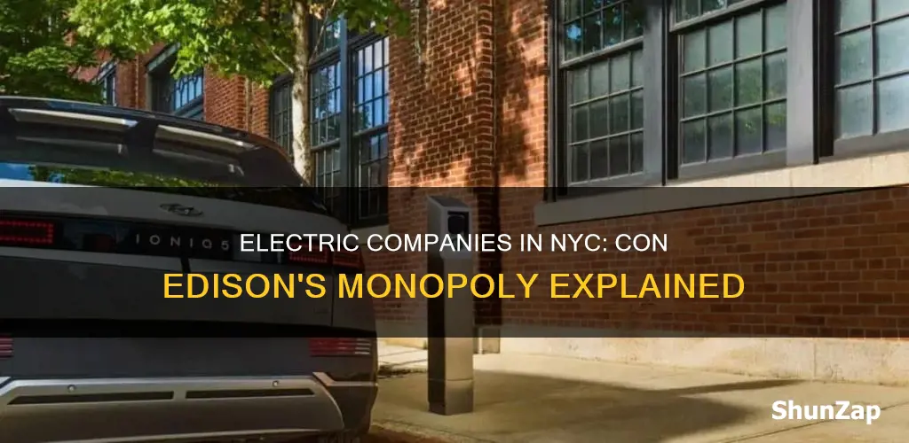 is con edison the only electric company in nyc