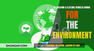 Electric Vehicles: Green or Greenwashing? Unveiling the Environmental Impact