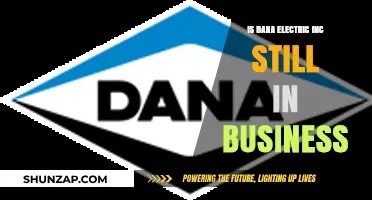 Dana Electric Inc: Still Operational?