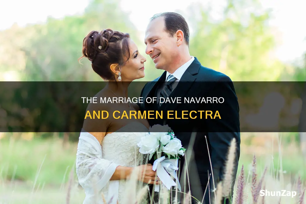 is dave navarro married to carmen electra