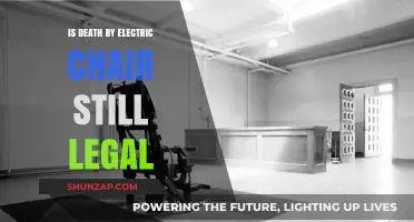 Electric Chair Executions: Legal or Not?