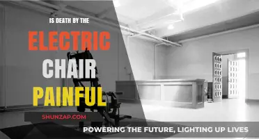 Electric Chair Execution: A Painful Death?